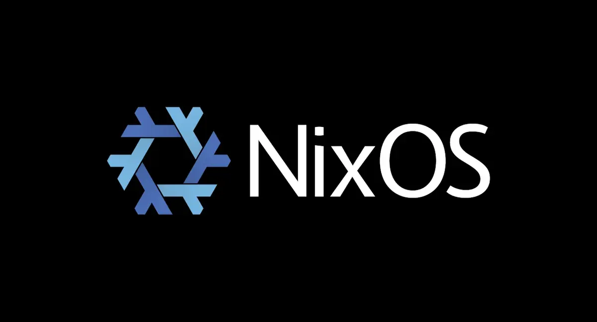Using NixOS